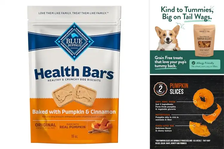 Detailed view of Best Pumpkin Dog Treats for Healthy, Happy Pets