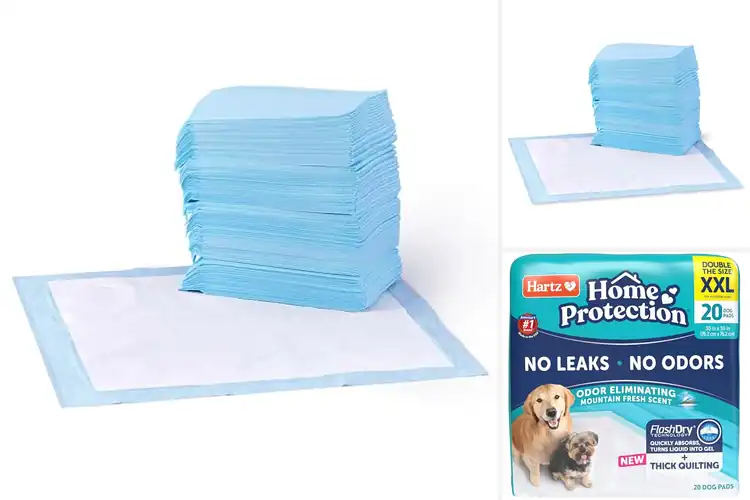 Detailed view of Best Puppy Pads : Potty Training Made Easy