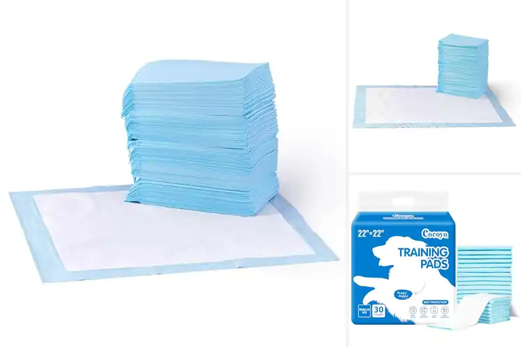 Detailed view of Best Puppy Training Pad For Puppies