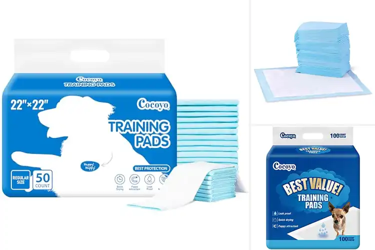 Detailed view of Best Puppy Training Pee Pads