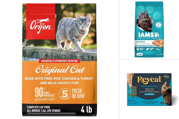 Detailed view of Best Quality Cat Foods