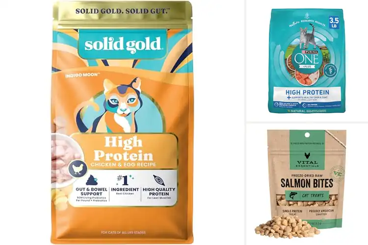 Detailed view of Best Quality Protein For Cats: Top Picks for Optimal Health