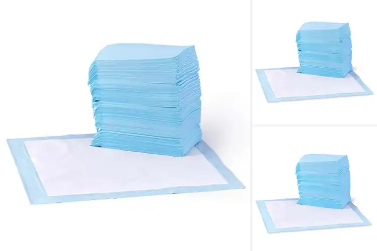 Detailed view of Best Quick-Dry Pee Pads