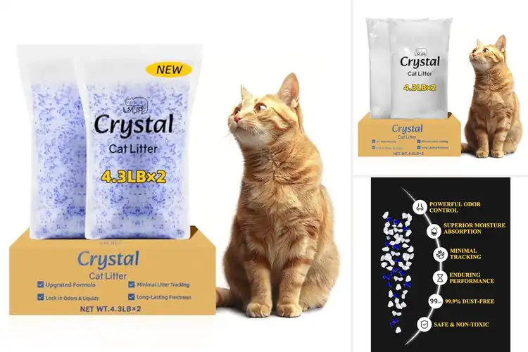 Detailed view of Best Rapid Absorption Cat Litters: Fresh, Clean, Happy Homes