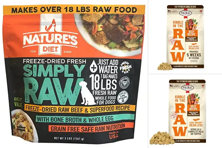 Detailed view of Best Raw Dog Foods: Top Brands for a Healthier, Happier Pup
