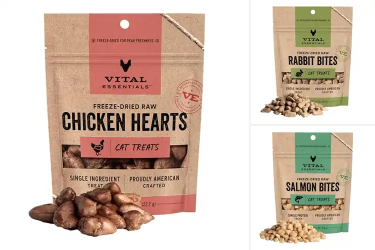 Detailed view of Best Raw Protein Cat Treats For Coat Health