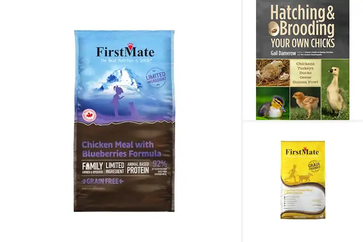 Detailed view of Best Real Chicken First: Top Picks for Pets & Poultry