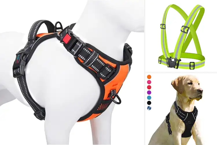 Detailed view of Best Reflective Harnesses for Safer, Brighter Dog Walks