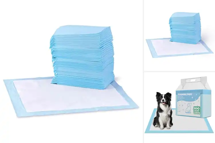 Detailed view of Best Regular Size 22X22 Puppy Pads