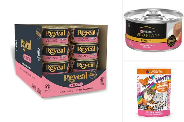 Detailed view of Best Salmon And Tuna Cat Foods
