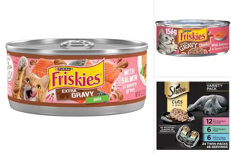 Detailed view of Best Salmon Cat Food With Gravy: Top Picks for Healthy Cats