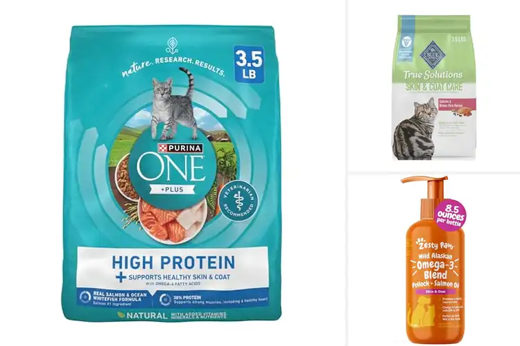 Detailed view of Best Salmon Cat Foods For Coats