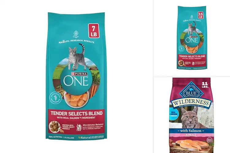 Detailed view of Best Salmon Cat Foods: Top Picks for a Healthy, Happy Feline