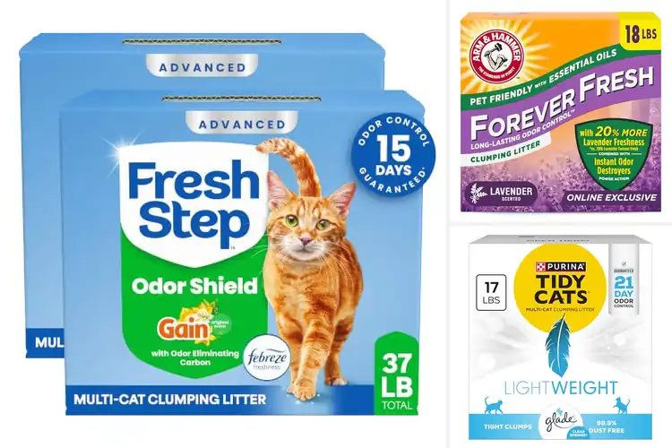 Detailed view of Best Scented Cat Litters for Freshness & Easy Cleaning