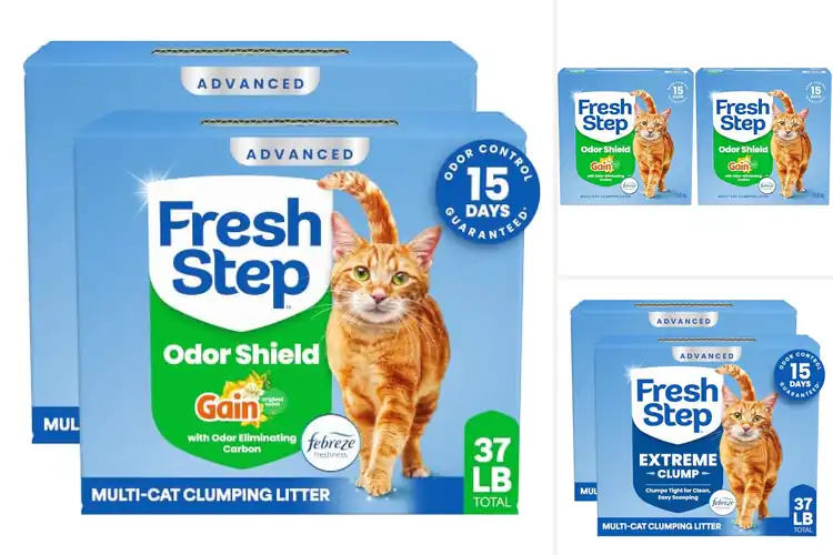 Detailed view of Best Scented Cat Litters With Febreze