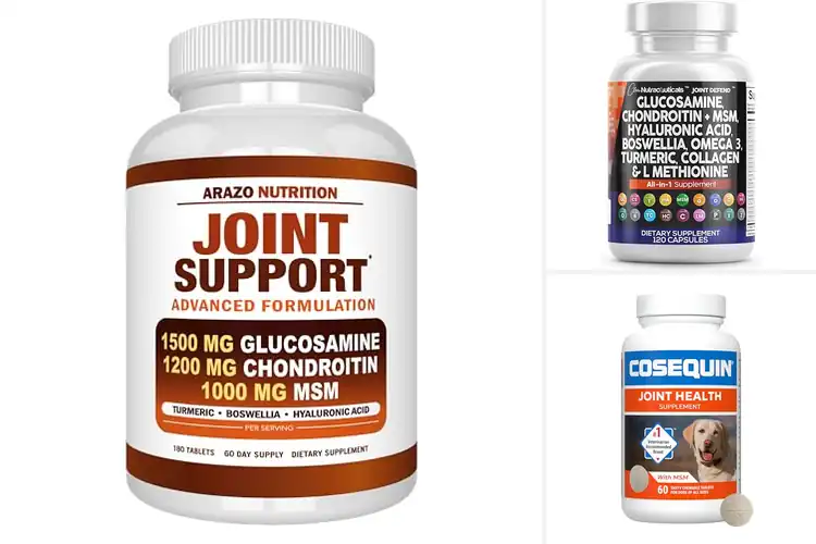 Detailed view of Best Scientifically Backed Joint Supplement