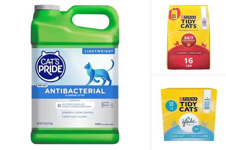 Detailed view of Best Scoopable Cat Litters