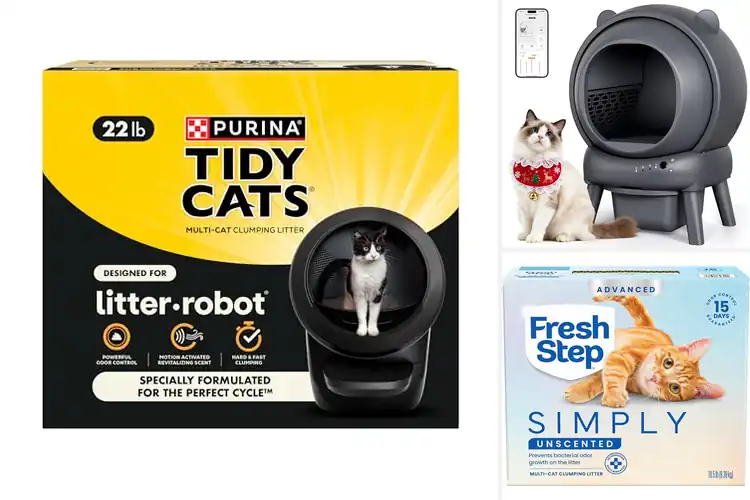 Detailed view of Best Scoopable Litter For Automatic Litter Boxes
