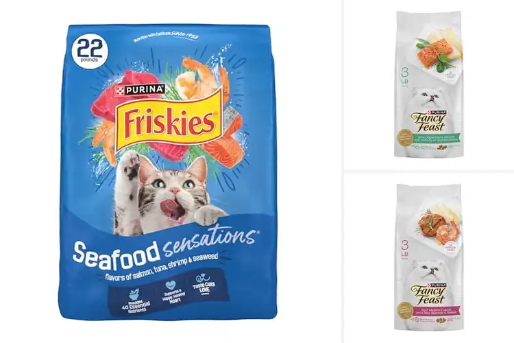 Detailed view of Best Seafood Dry Cat Foods