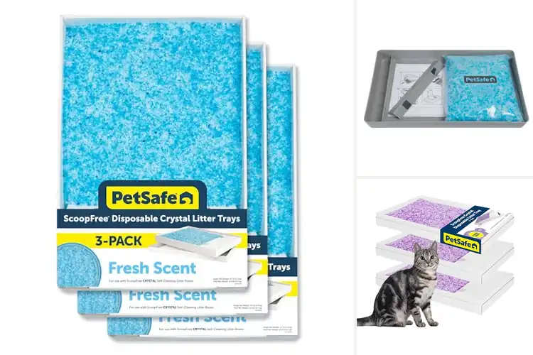 Detailed view of Best Self Cleaning Cat Litter Trays