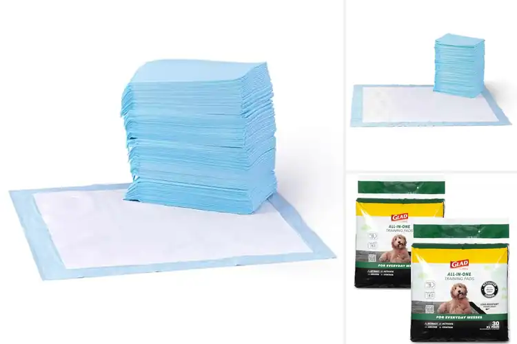 Detailed view of Best Senior Dog Training Pads: Top Picks for Comfort & Care