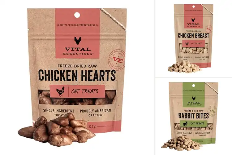 Detailed view of Best Single-Ingredient Cat Treats For Health
