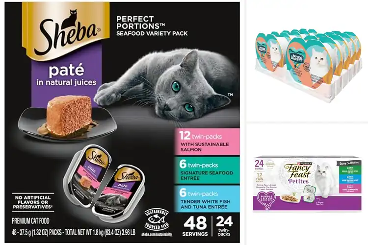 Detailed view of Best Single Serve Cat Foods: 5 Must‑Try Picks