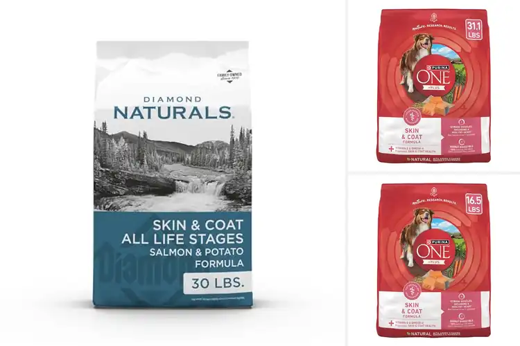 Detailed view of Best Skin And Coat Dog Foods