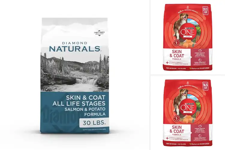 Detailed view of Best Skin Coat Dog Foods: Unlock a Shiny, Healthy Coat Today