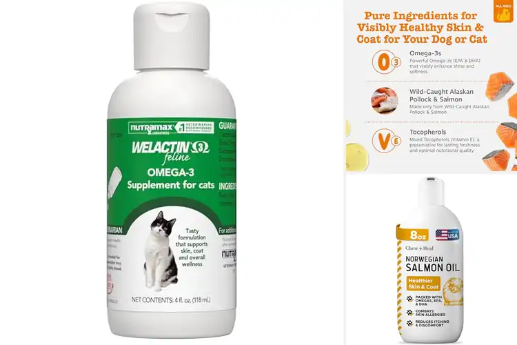 Detailed view of Best Skin Coat Support: 10 Top Products for a Shiny Pet Coat