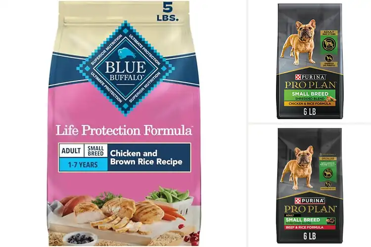 Detailed view of Best Small Breed Dog Foods