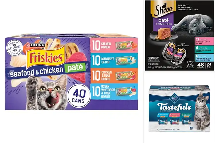 Detailed view of Best Soft Pate Cat Food Textures