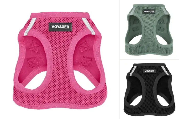 Detailed view of Best Step In Harnesses for Easy, Safe Pet Walks