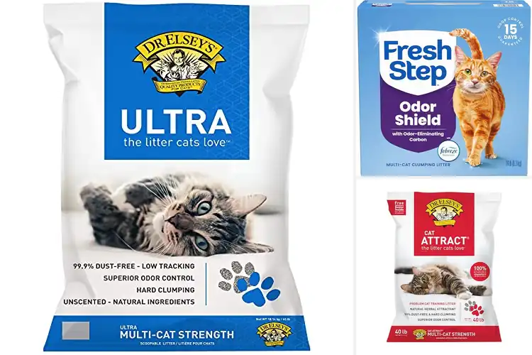 Detailed view of Best Superior Odor Control Cat Litter