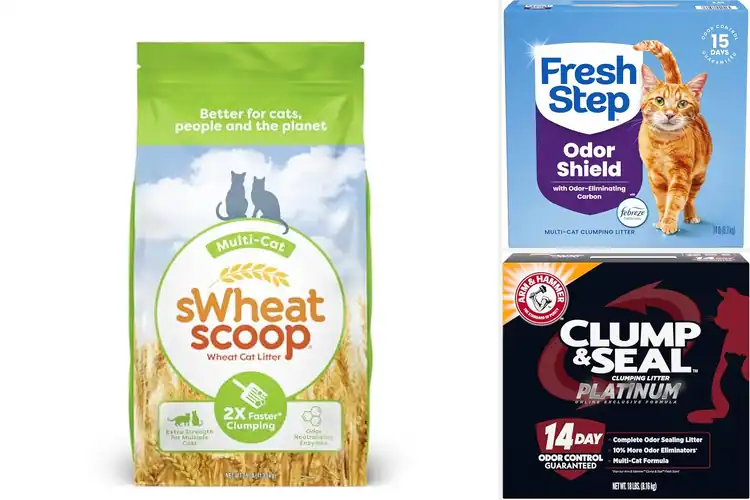 Detailed view of Best Superior Odor Control Litter