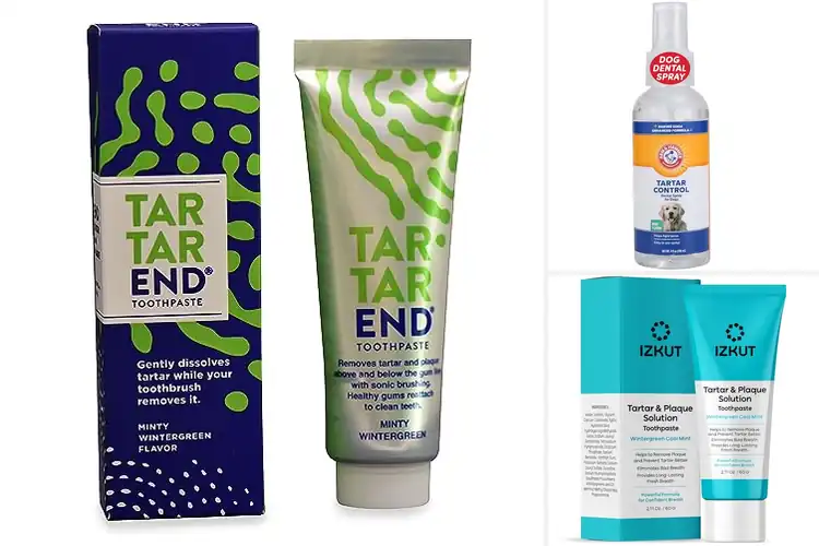 Detailed view of Best Tartar Control Products