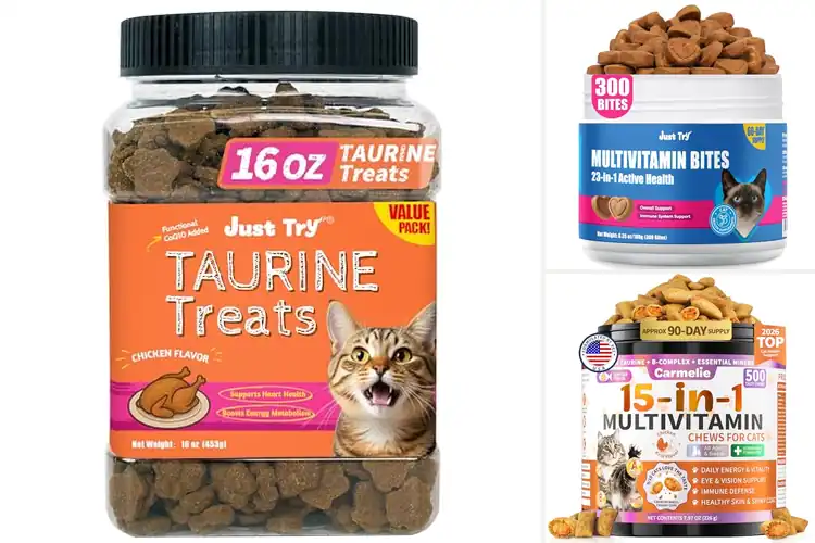 Detailed view of Best Taurine Cat Supplement Treats