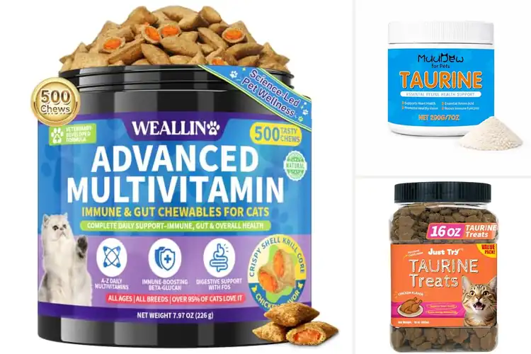 Detailed view of Best Taurine-Rich Cat Foods For Vision
