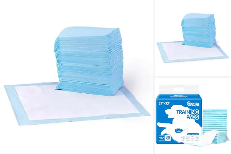 Detailed view of Best Training Pads For Puppies: Potty Training Made Easy