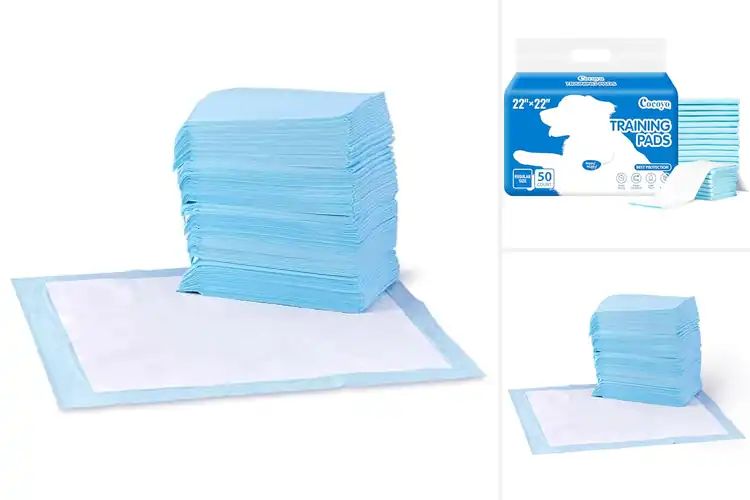 Detailed view of Best Training Pads: Top 10 Picks for a Cleaner, Happier Home