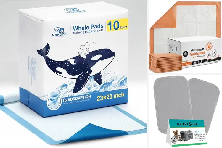 Detailed view of Best Travel Dog Pads
