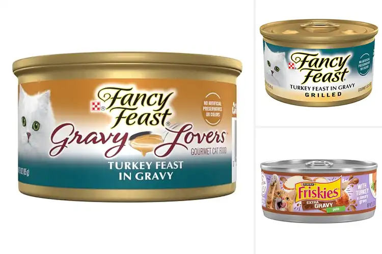 Detailed view of Best Turkey Cat Food With Gravy: Top Picks for Healthy Cats