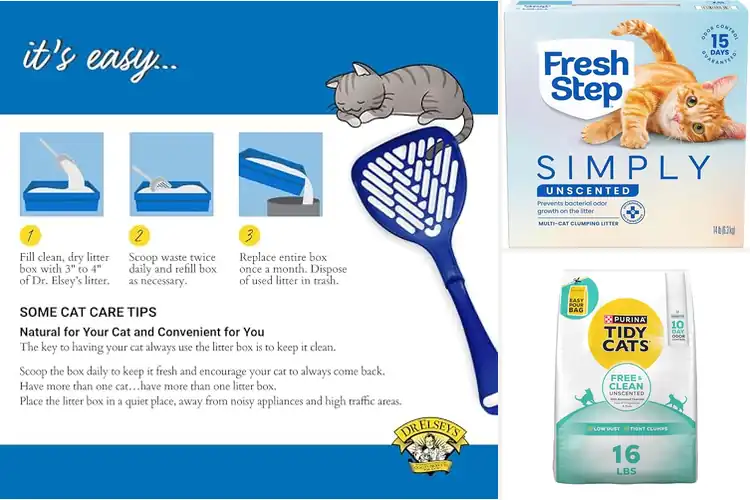 Detailed view of Best Unscented Cat Litters: Fresh Home, Happy Cat