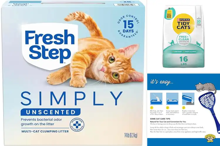 Detailed view of Best Unscented Clumping Cat Litters