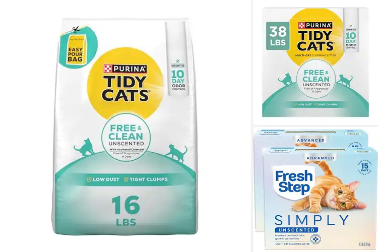 Detailed view of Best Unscented Litters