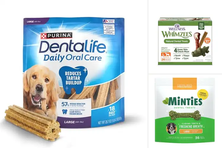 Detailed view of Best Value Dental Chews For Medium To Large Dogs
