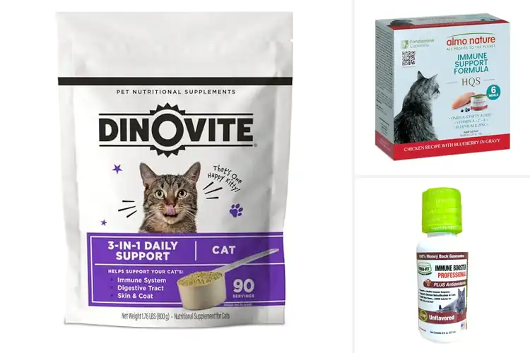 Detailed view of Best Vet Recommended Cat Foods For Immunity