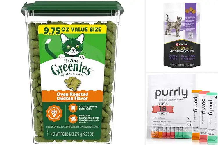 Detailed view of Best Vet Recommended Cat Treats: Top 10 Safe & Natural Picks