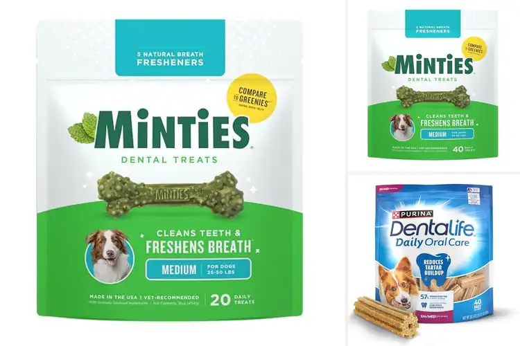 Detailed view of Best Vet Recommended Dental Treats For Dogs