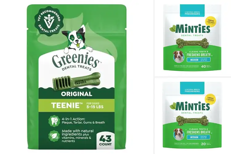 Detailed view of Best Vet-Recommended Dog Dental Treats